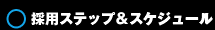 採用ステップ&スケジュール