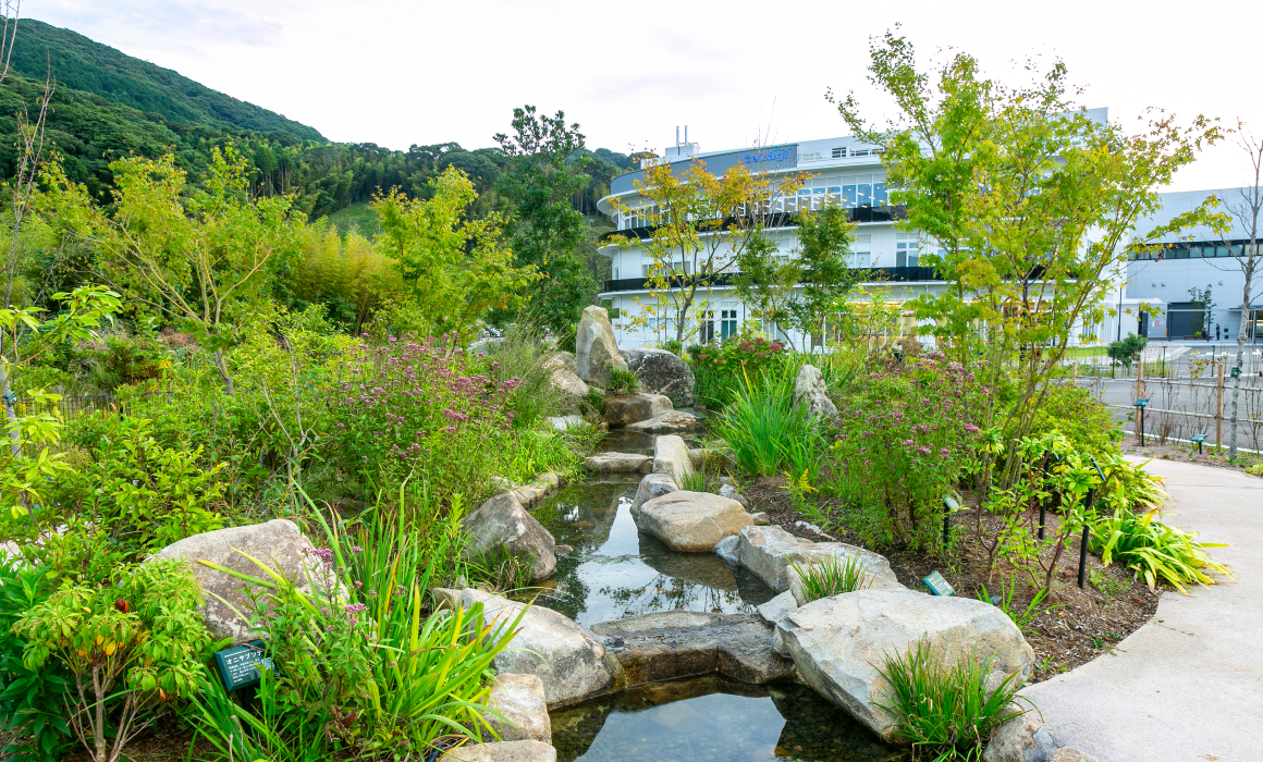 タカギ本社敷地内の「ホタルの小川」 写真